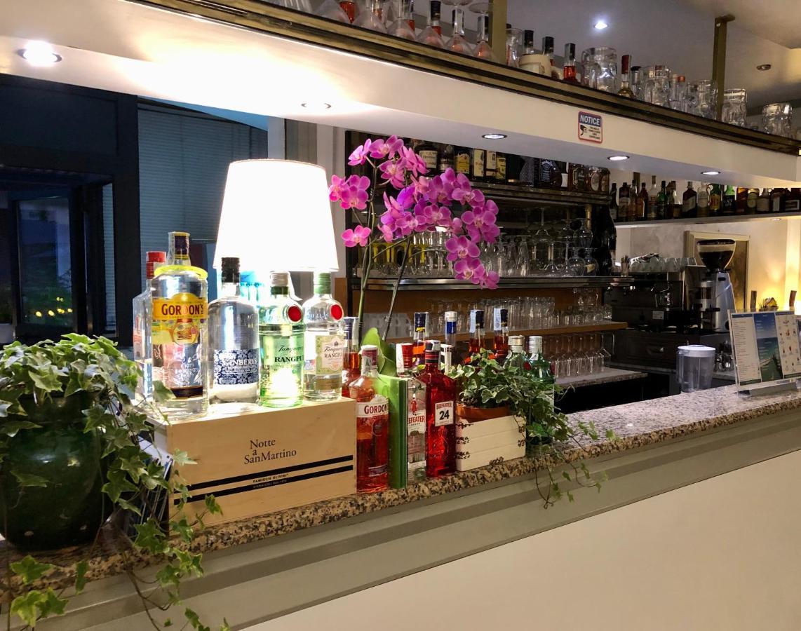 国际酒店 西尔米奥奈 外观 照片